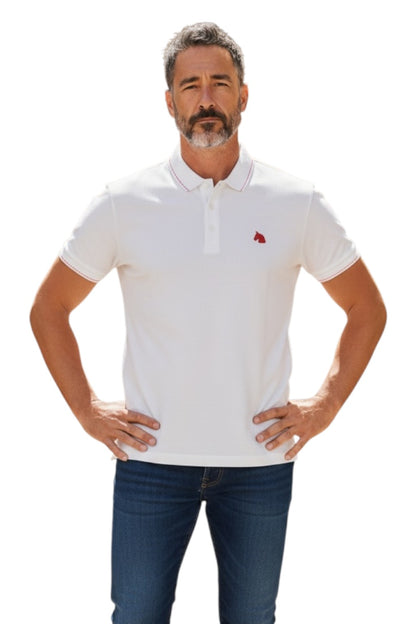 Men Casual Wear - Premium Collar Neck Tshirts