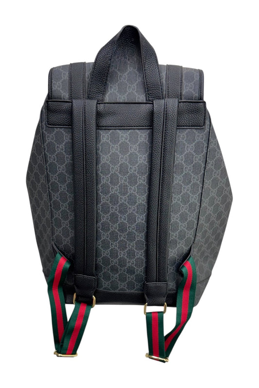 Luxury Back Pack - Signature Print (Unisex)