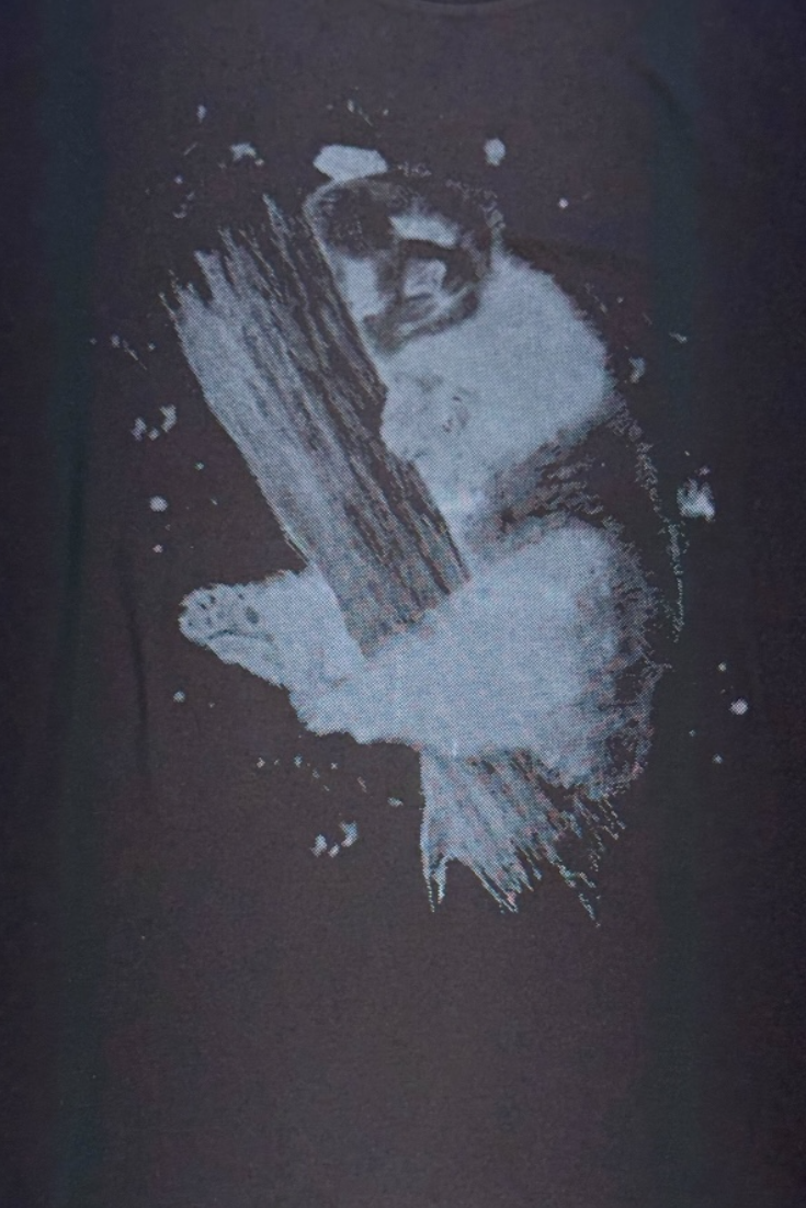 Luxury Tshirts, Round Neck (Designer)