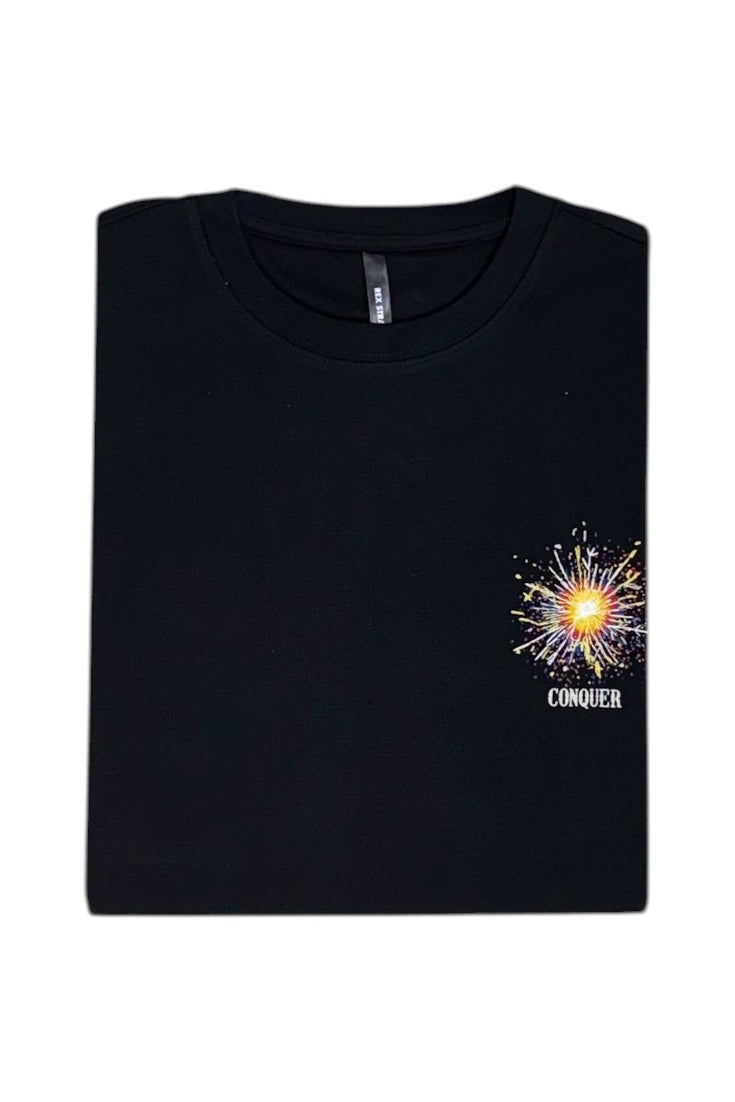 Luxury Tshirts, Round Neck (Designer)