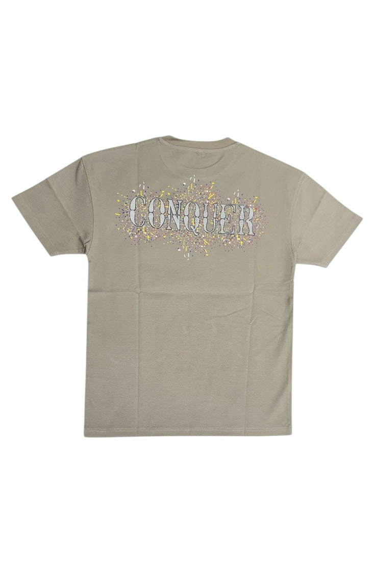 Luxury Tshirts, Round Neck (Designer)