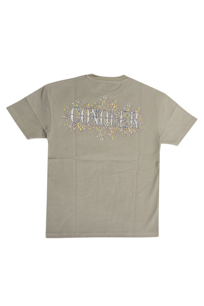 Luxury Tshirts, Round Neck (Designer)
