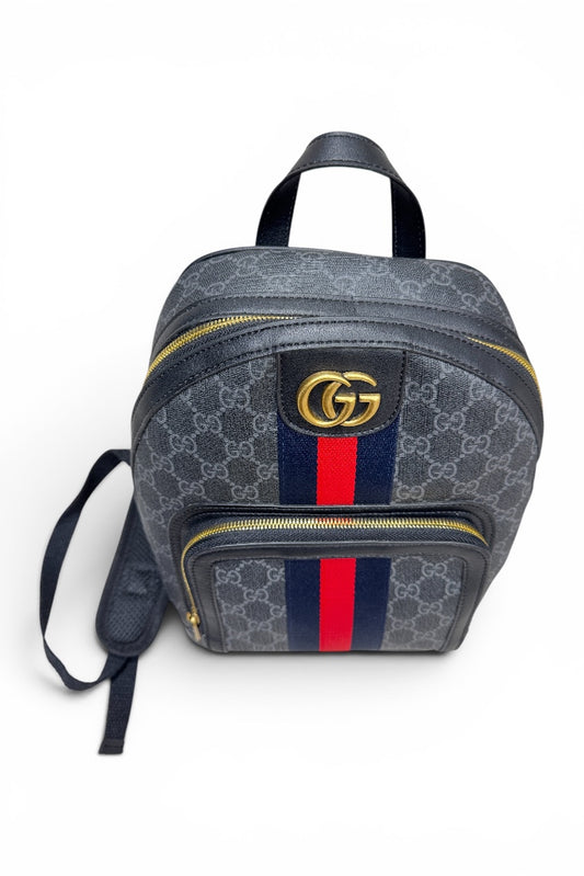 Luxury Mini Back Pack Unisex
